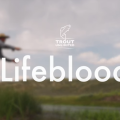 TU Releases New Film, 'Lifeblood'